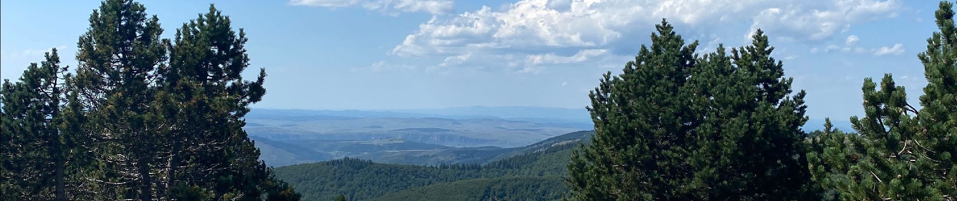 Tocht Stappen Val-d'Aigoual - Petit tout au Mont Aigoual - Photo