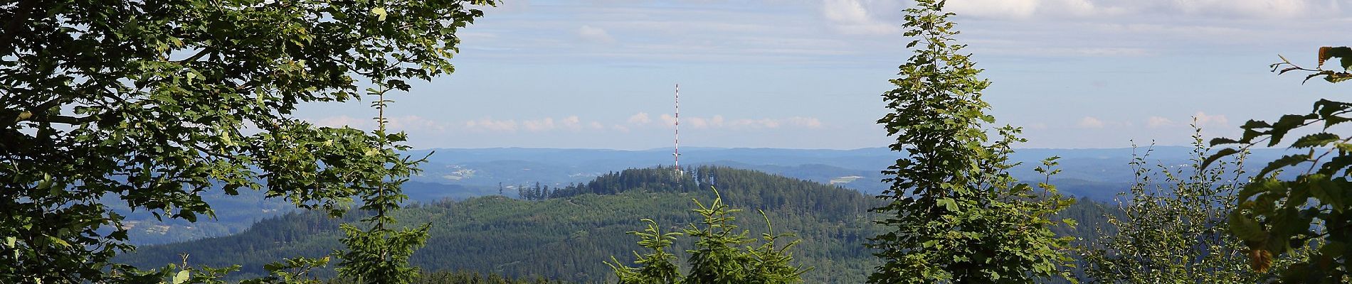 Tocht Te voet Gemeinde Moorbad Harbach - Nordwaldkammweg Verbindungsweg V14 - Photo