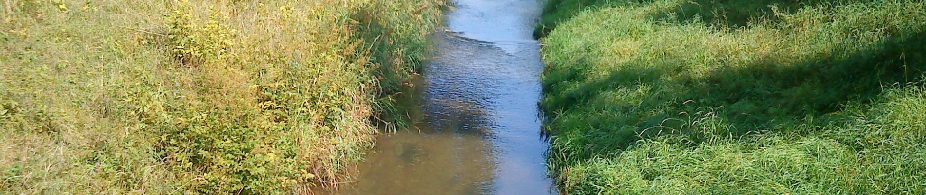 Tour Zu Fuß Pegnitz - Rundwanderweg Eichblattweg - Photo