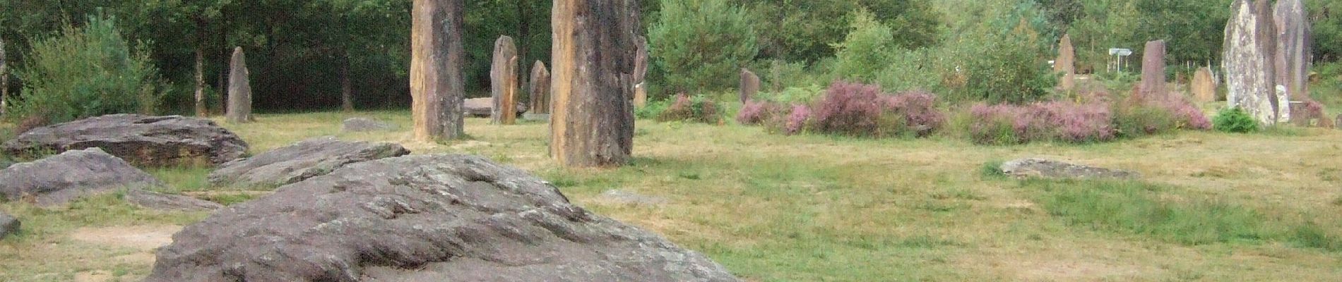 Tour Zu Fuß Monteneuf - Boucle de l'étang de Quéhéon - Photo