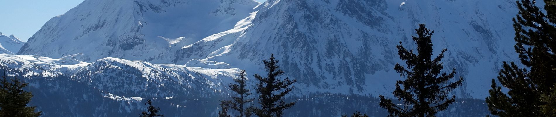 Tocht Sneeuwschoenen Vaulnaveys-le-Haut - Croix-de Chamrousse-2021-02-17 - Photo