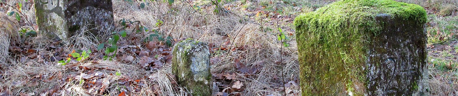 Percorso A piedi Schönau-Berzdorf auf dem Eigen - OL-Gelber Strich - Schönau-Berzdorf - Photo