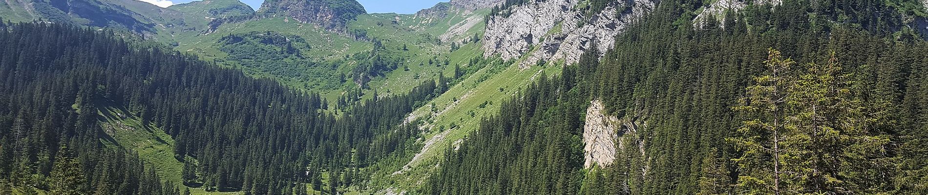 Tocht Te voet Glarus Nord - Talhütten - Hummel - Photo