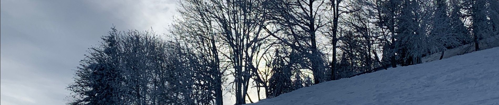 Percorso Marcia Le Bonhomme - Col des bagenelles / neige - Photo