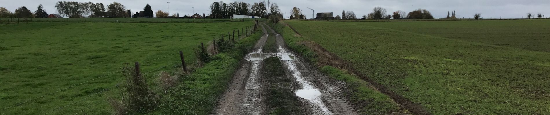 Tour Wandern Quévy - Givry 17,5 km - Photo