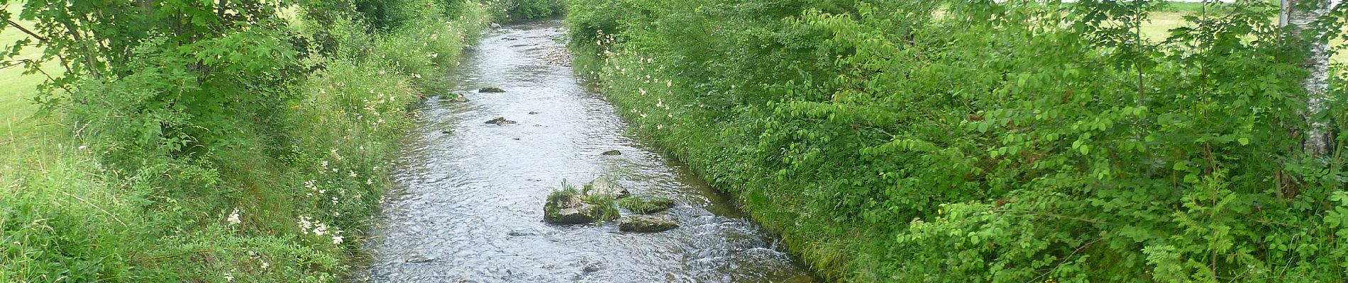 Randonnée A pied Siegsdorf - SalzAlpenWeg - Traunstein - Zwing - Photo