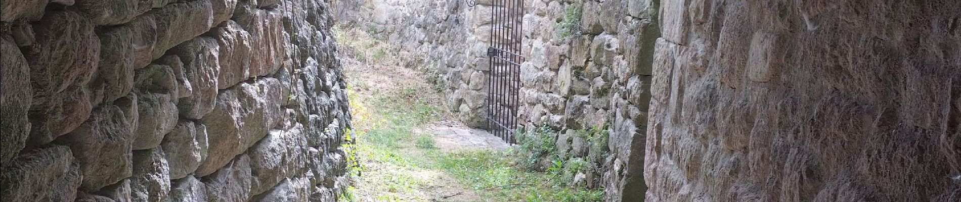 Excursión Carrera Saint-Michel-de-Boulogne - saint Michel de Boulogne - Photo