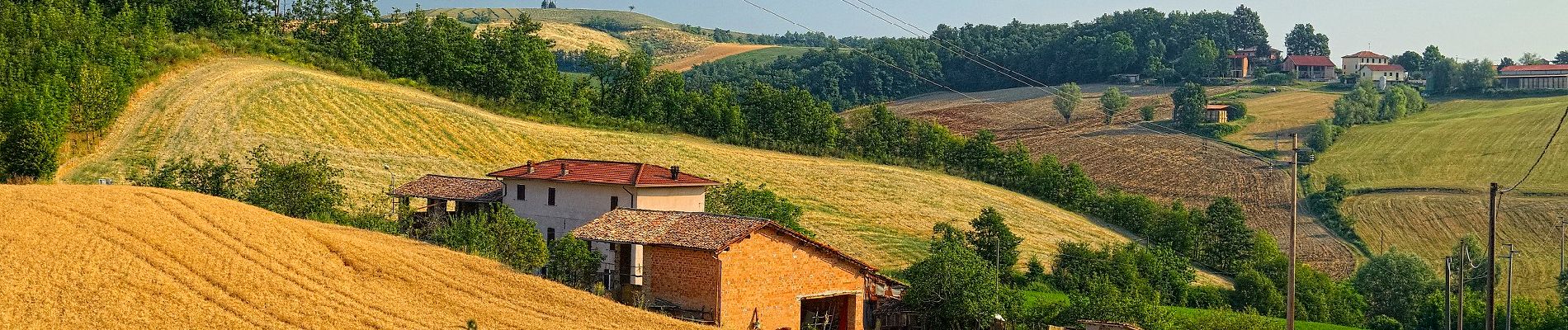 Tour Zu Fuß Colli Verdi - Anello Monte Barbera - Photo