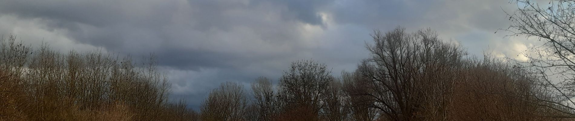 Tocht Stappen Eijsden-Margraten - petit tour de Meuse près de Oost Maarland  - Photo