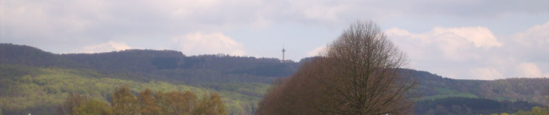 Randonnée A pied Scheden - Rundwanderweg Scheden 4 - Photo