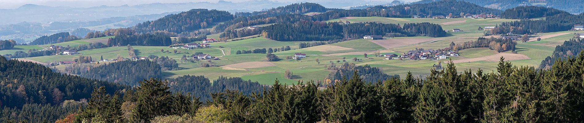 Tour Zu Fuß Kirchschlag bei Linz - Kirchschlag 1er - Photo