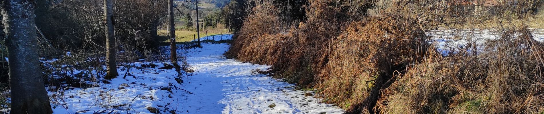 Trail Walking Saint-Pal-de-Mons - autour de lichemiaille tirvolet - Photo