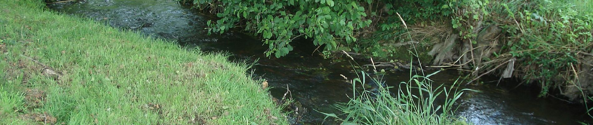 Tocht Te voet Biebergemünd - Spessartspuren - Bieber - Photo