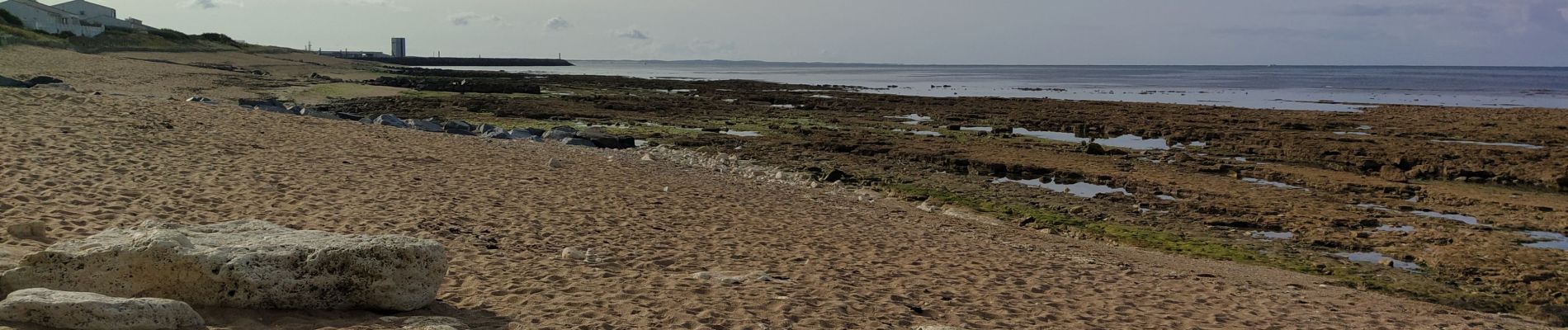 Tour Wandern Saint-Pierre-d'Oléron - oleron - Photo