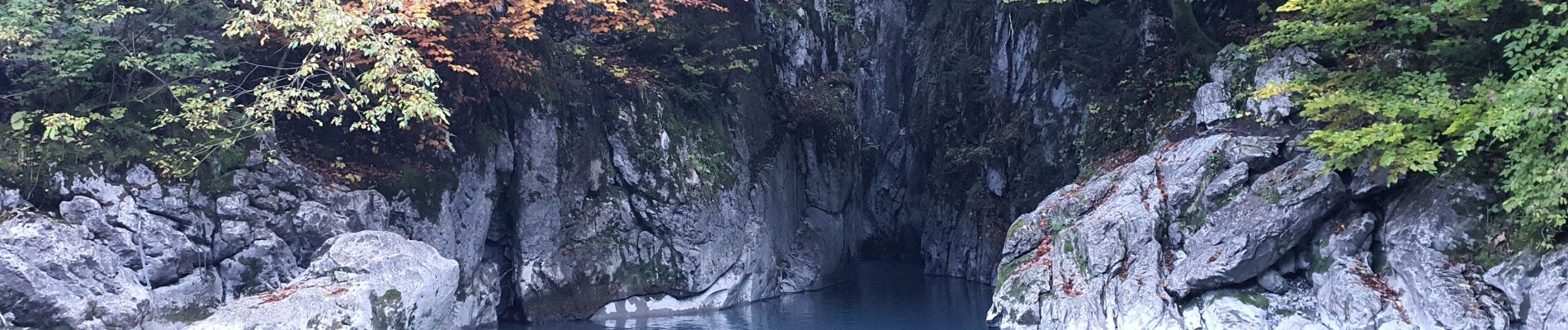 Tocht Stappen Sixt-Fer-à-Cheval - Gorges des Tines - Gers - Samoens  - Photo