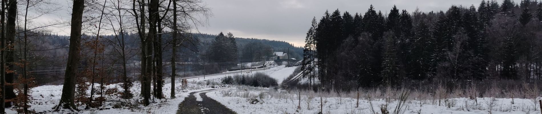 Tour Wandern Florenville - 10-Les Epioux boucle7km500 vers cabane de chasse - Photo