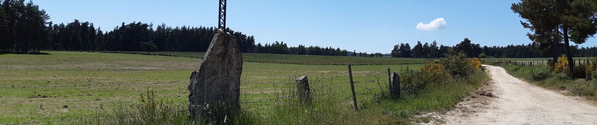 Tour Wandern Peyre en Aubrac - le circuit des croix en partant de Aumont Aubrac  - Photo