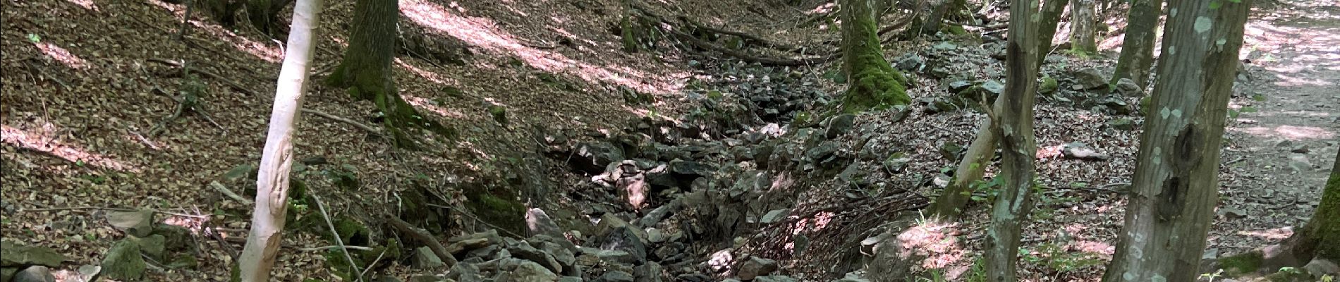 Randonnée Marche Stoumont -  Stoumont Lorcé - Photo