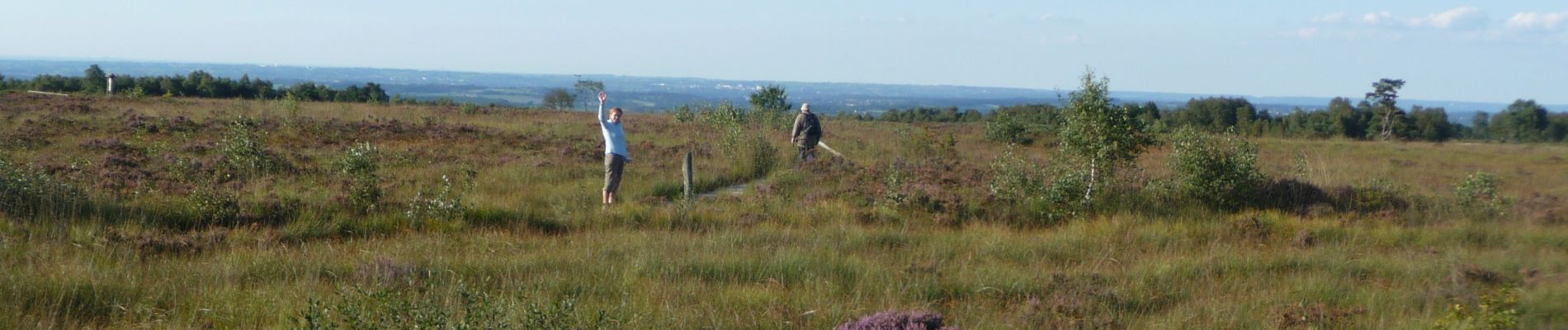 Tocht Stappen Spa - WandArdNat 11: Spa La Sauvenière Fagne de Malchamps (PVDB) - Photo