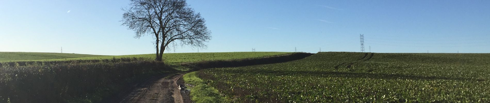 Randonnée Marche Pont-à-Celles - BE-Pont-à-Celles - Obaix - En passant de la Meuse à l'Escaut - V - Photo