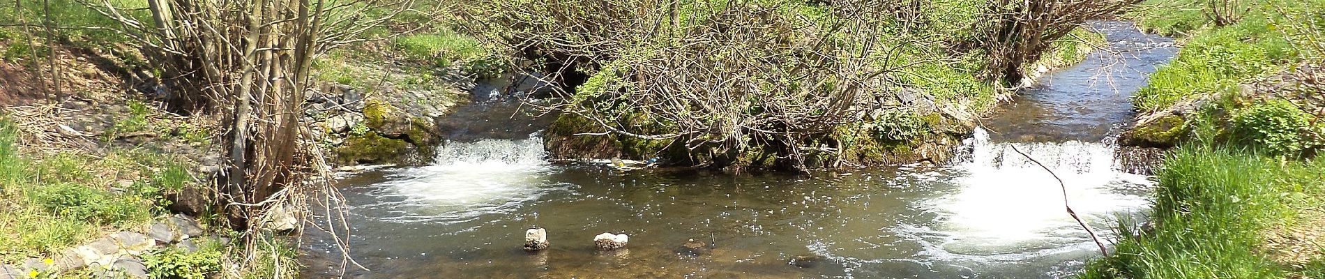 Tocht Te voet Schlüchtern - unknown_Spessartbund_Schluechtern - Photo