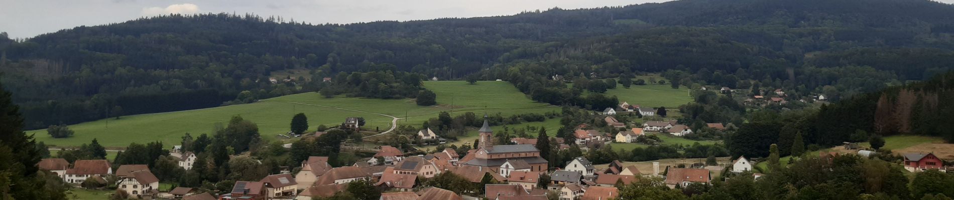 Randonnée Marche Ranrupt - Ranrupt autour du Climont - Photo