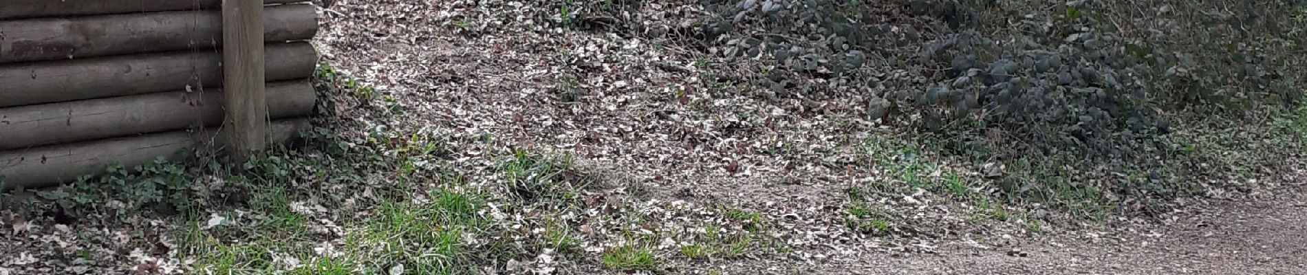 Percorso Marcia Panissières - Panissieres ESsertines en donzy Terre de Tisseurs - Photo