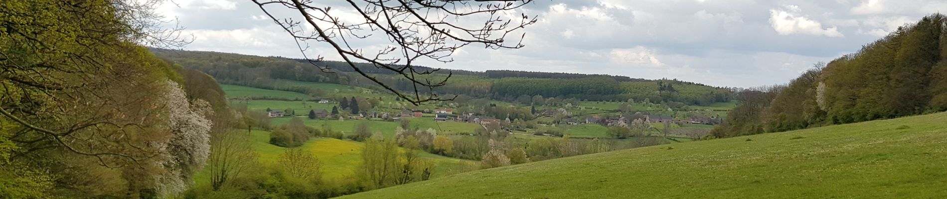 Excursión Senderismo Voeren - Teuven - Veurs - Photo