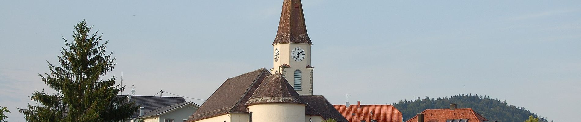 Excursión A pie Neustift im Mühlkreis - Seenweg - Photo