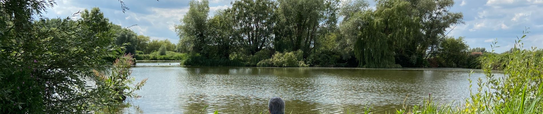 Tocht Stappen Nieuwerleet - Circuit des marais de Booneghem - Photo