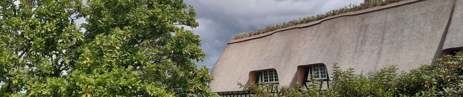 Randonnée Marche Aizier - Chemin des sources bleues - Photo