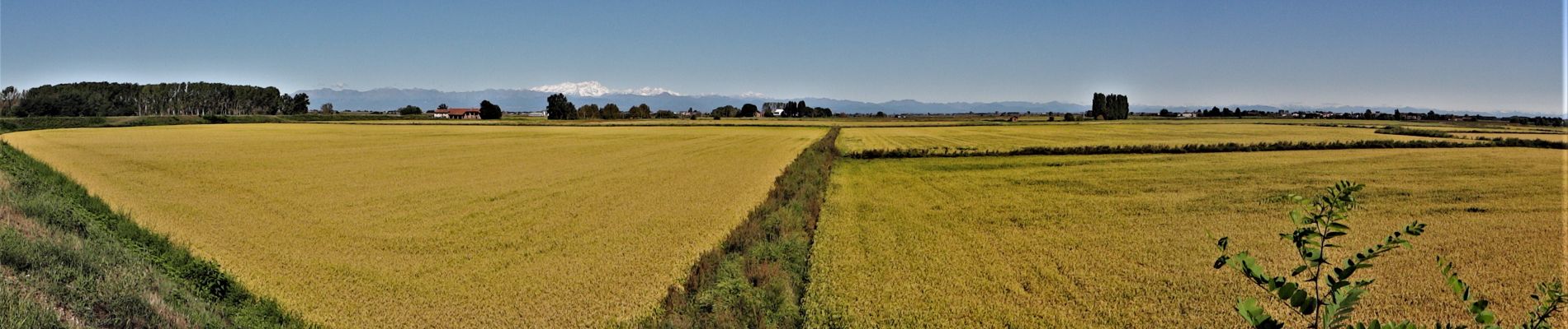 Trail Walking Vercelli - CR_Francigena_BA_12_Verceil_Robbio_20190909 - Photo