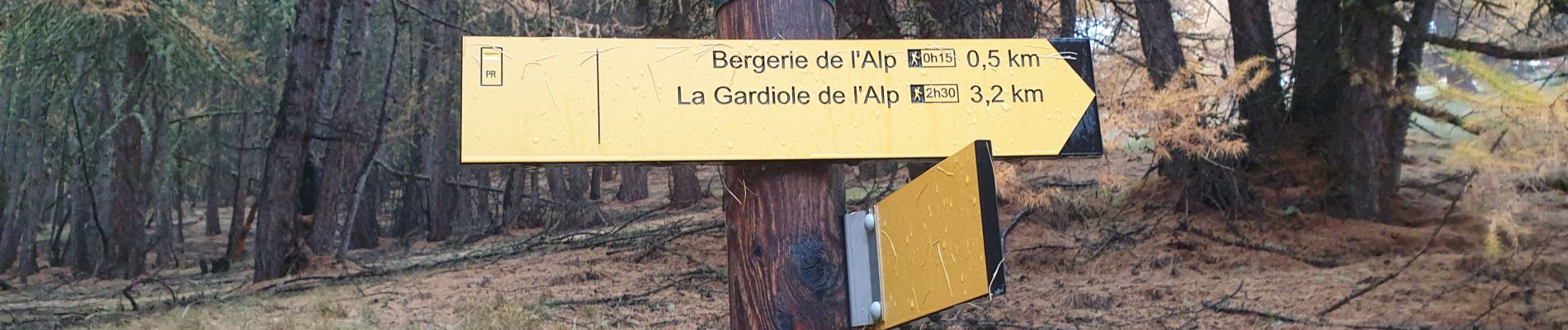 Tocht Stappen Molines-en-Queyras - gardiole de l'alp - Photo