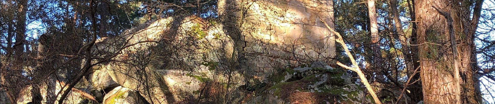 Randonnée Marche Arbonne-la-Forêt - Feuillardiere Chemin de la Sapinière  - Photo