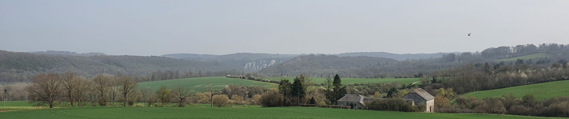 Randonnée Marche Anhée - rando ornitho haut le wastia 01/04/2021 - Photo