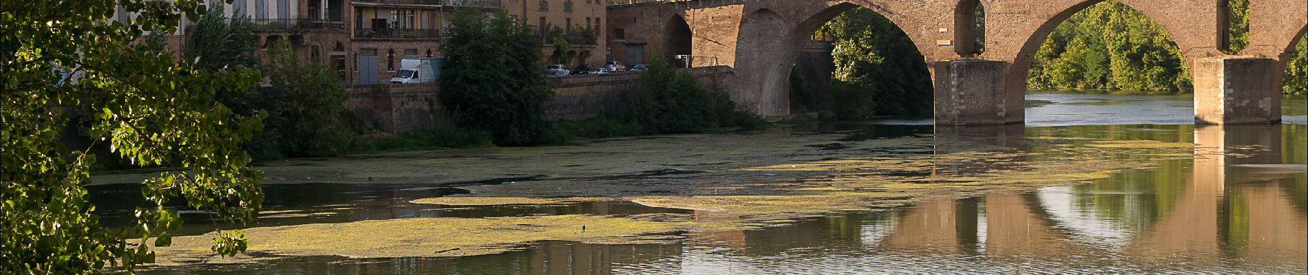 Trail Bicycle tourism Moissac - Moissac-Montauban - Photo