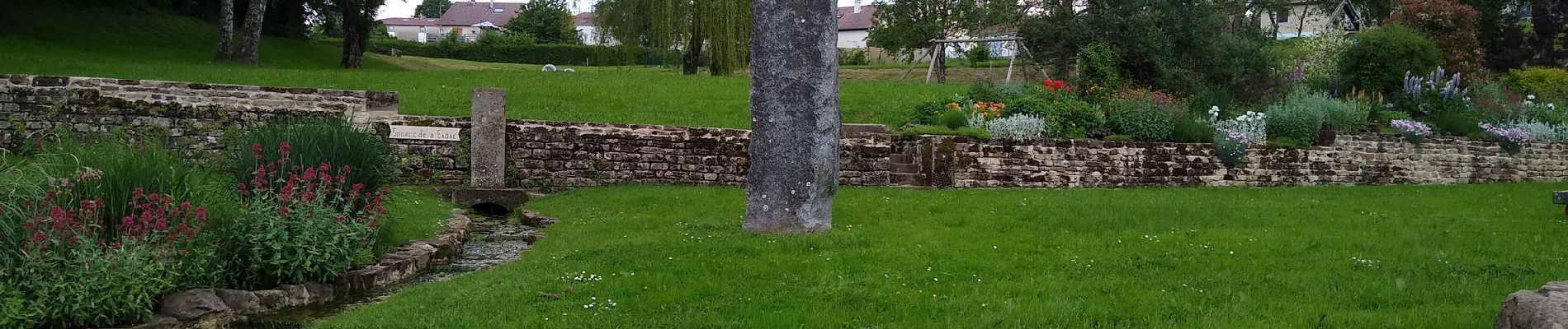 Randonnée Marche Vioménil - viomenil circuite de la pille - Photo