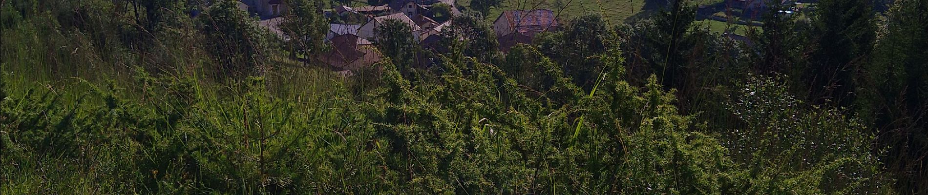 Randonnée Marche Apremont - tour d'Apremont - Photo