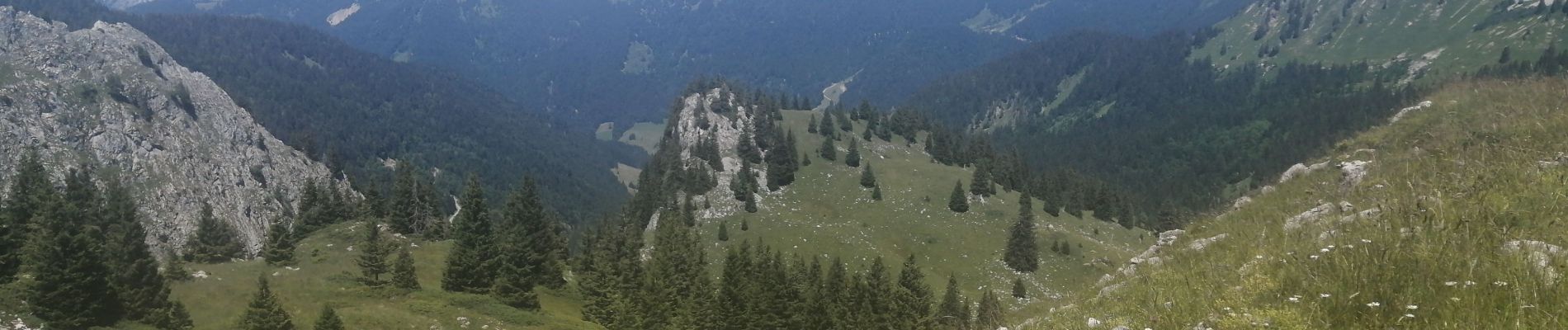 Excursión Senderismo Mieussy - le tour de la haute pointe  - Photo