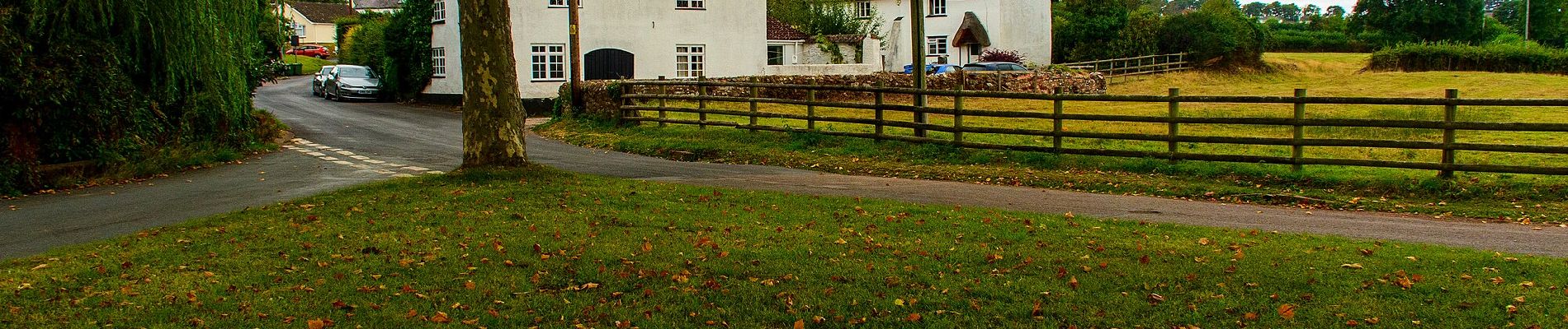 Percorso A piedi Teignbridge - Kenn to Haldon Trail - Photo