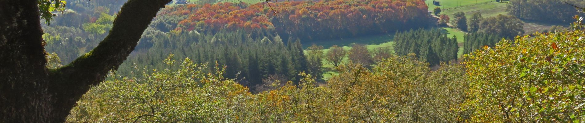 Tour Wandern Martel - 11255276-le Mont Mercou depuis Martel - Photo