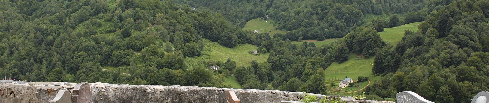 Excursión A pie Aydius - Chemin des Buis de Camploung asp22 - Photo