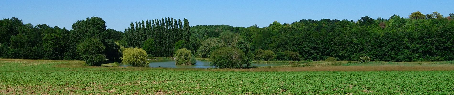 Trail Walking Saint-Branchs - Saint-Branchs - circuits 4 5 avec variantes - 18.4km 120m 4h00 - 2020 05 31 - Photo