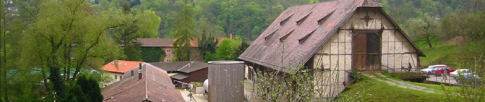 Percorso A piedi Sconosciuto - Rundwanderweg Ziegelhausen 4: Mausbachwiesen-Weg - Photo