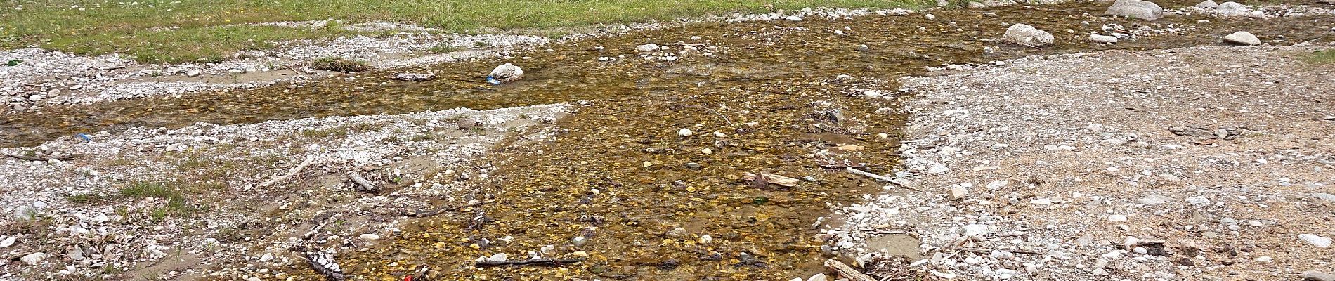 Excursión A pie Râșnov - Bușteni - Șaua Baiului - Cabana Diham - Photo