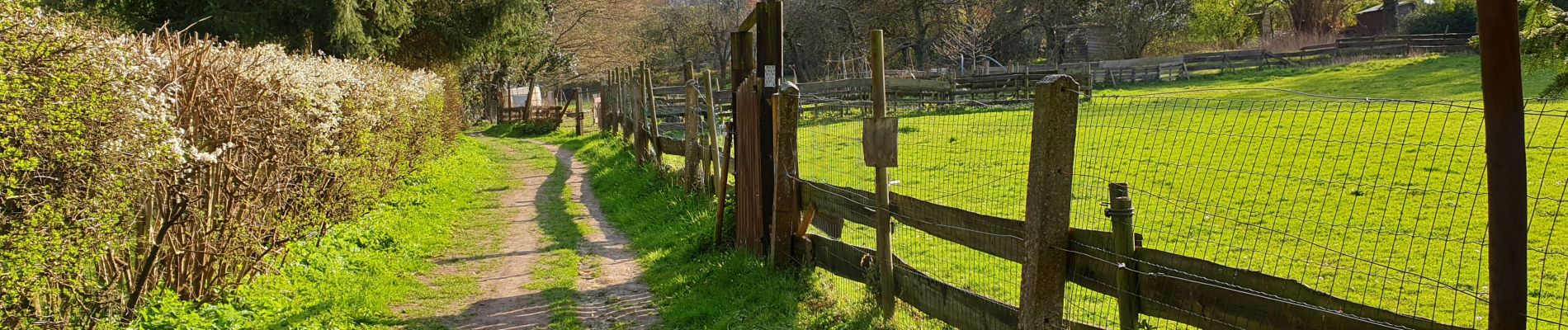 Trail Walking Ottignies-Louvain-la-Neuve - Stimont - Photo