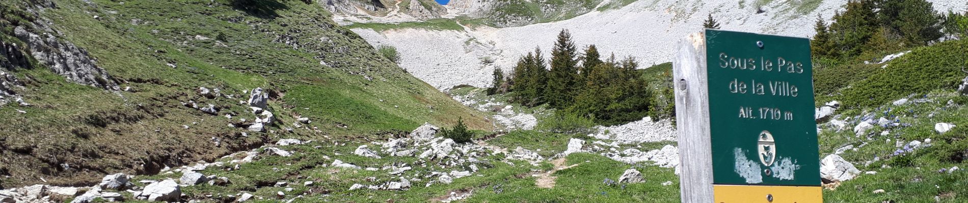 Randonnée Marche Gresse-en-Vercors - Circuit crêtes de Quinquambaye, Grand Brisou, crêtes d'Aleyron - Photo