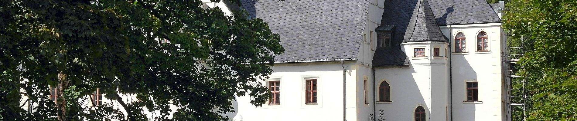 Tocht Te voet Pockau-Lengefeld - Naturlehrpfad An der Saidenbachtalsperre - Photo