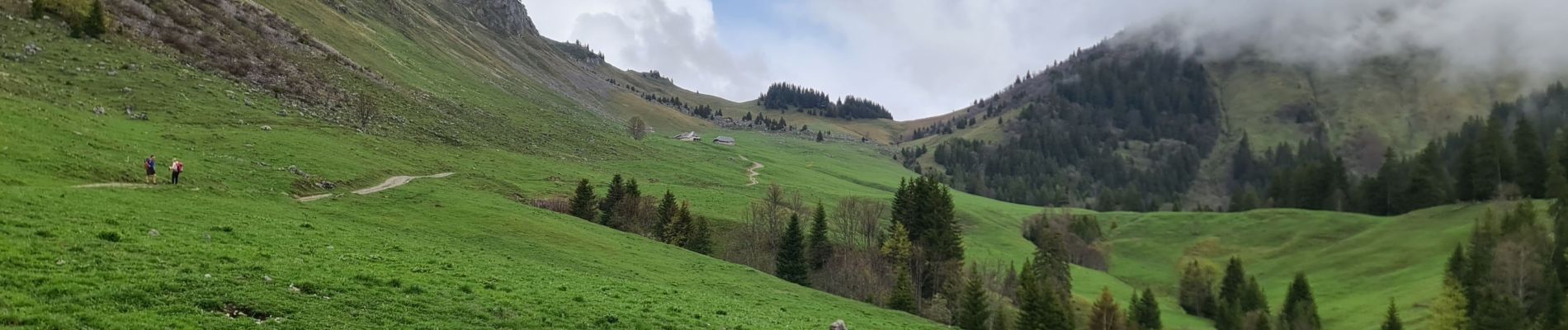 Trail Walking Jarsy - COL D'ORGEVAL - Photo