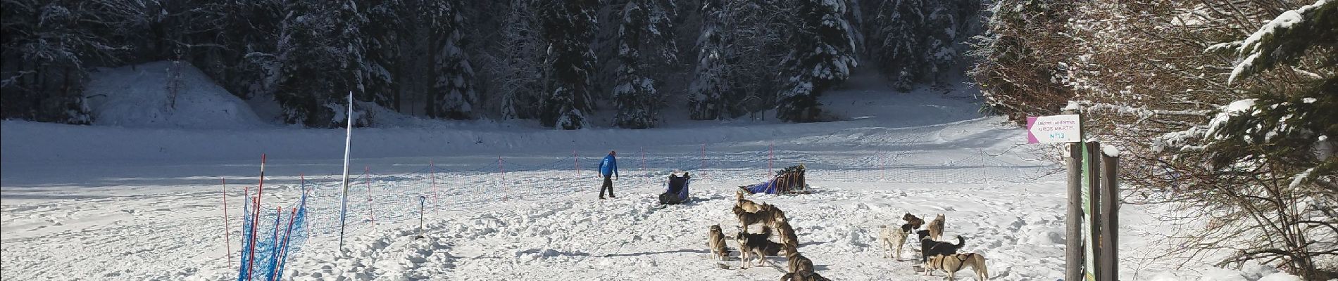 Trail Snowshoes Villard-de-Lans - meaudre le bas - Photo